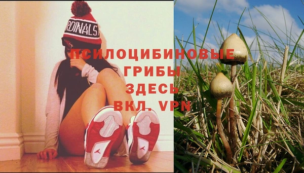 мдма Пересвет