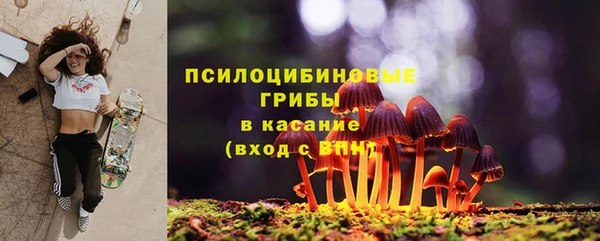 прущая мука Осинники