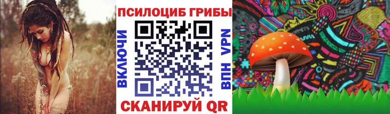 OMG ссылка  Балабаново  Псилоцибиновые грибы мухоморы 